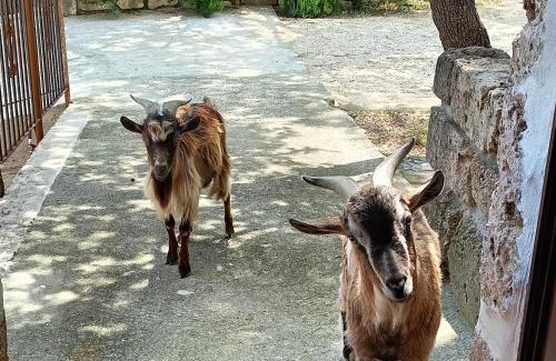 Tocco da Casauria Casa | azienda agrituristica la torretta
