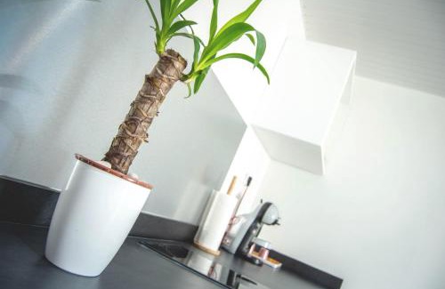 Le Vauclin Apartamento | Bélya