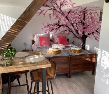 Drachten Apartamento | Bêd & Brochje Bijzonder