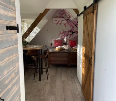 Drachten Apartamento | Bêd & Brochje Bijzonder