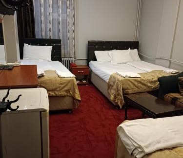 Erzurum City Center Cama Y Desayuno | Büyük Akçay hotel