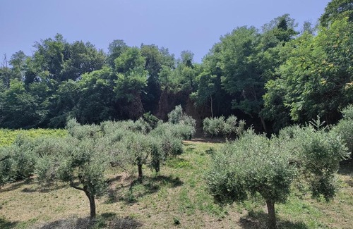 San Vito Chietino Casa | B&B AcquaViva