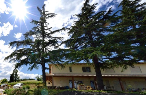 Sogliano al Rubicone Cama Y Desayuno | B&B Al Tardino