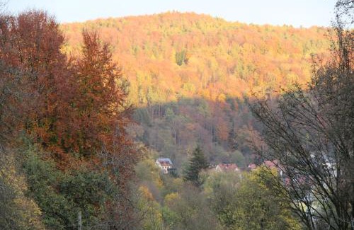 Egloffstein Cama Y Desayuno | B&B Arlesbrunnen