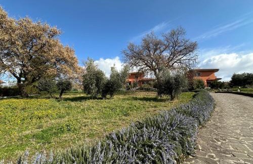 Monte Porzio Catone Cama Y Desayuno | B&B Bee