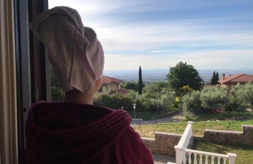 Monte Porzio Catone Cama Y Desayuno | B&B Bee