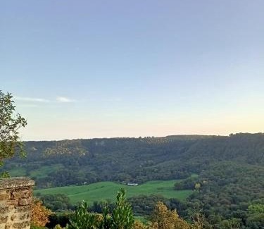 Bagnoregio Cama Y Desayuno | B&B Bellavista