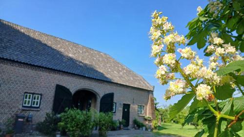 Deurne Casa | B&B Boerderij La Trappe Deurne