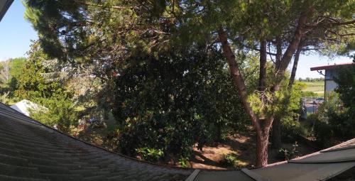 Porto Santa Margherita Cama Y Desayuno | B&B Cà d'Artisti