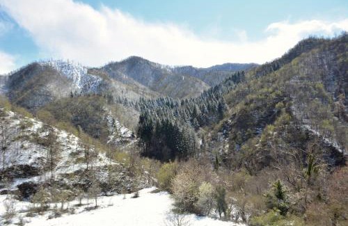 Marradi Cama Y Desayuno | B&B Cá Bucolica-Eremo di Trebbana raggiungibile solo a piedi-guarda il sito-chiamaci