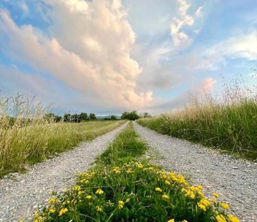 Langhirano Cama Y Desayuno | B&B Casa dei Cuori - Natura, Silenzio, relax a 550 m di quota