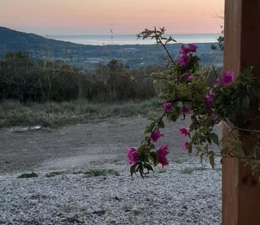 Giungano Cama Y Desayuno | B&B CASA MARTINA