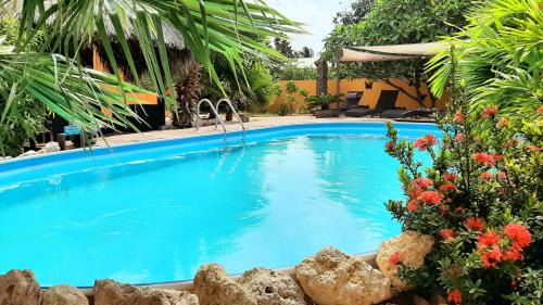 Playa Apartamento | B&B Casa Trankilo