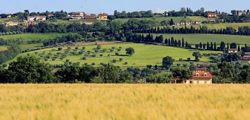Potenza Picena Cama Y Desayuno | B&B Centro Ippico Andrea
