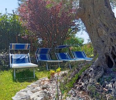 Maratea Cama Y Desayuno | B&B da Maria Teresa - Maratea