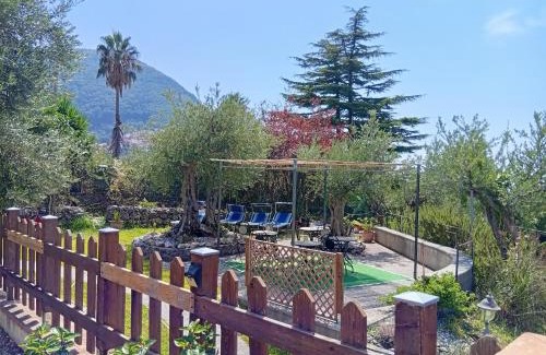 Maratea Cama Y Desayuno | B&B da Maria Teresa - Maratea