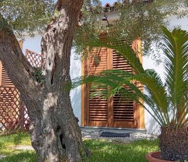 Maratea Cama Y Desayuno | B&B da Maria Teresa - Maratea