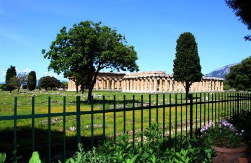 Paestum Cama Y Desayuno | B&B Damiantò