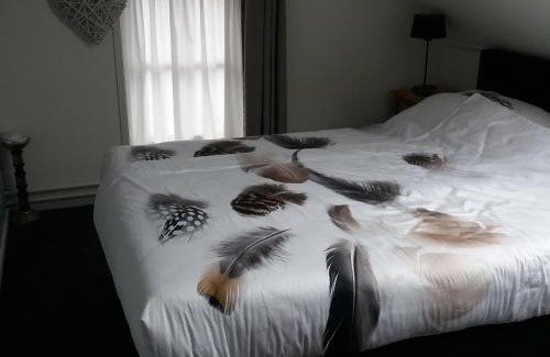 Ruinen Cama Y Desayuno | B&B de Berghoeve