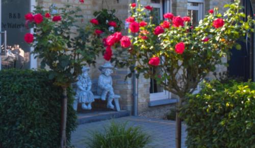 Lommel Cama Y Desayuno | B&B De Watering