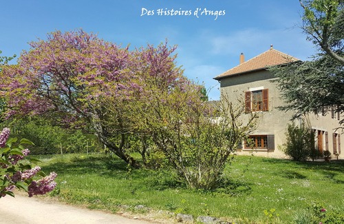 Tournus Casa | B & B Historias de los ángeles / Habitación Couette et Tartines
