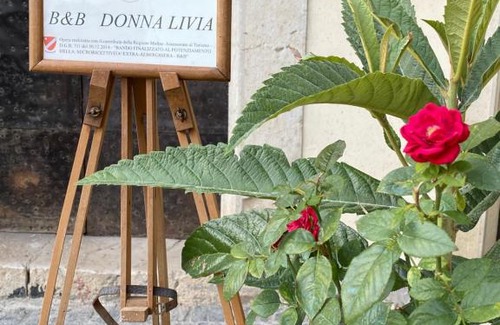 Cantalupo nel Sannio Cama Y Desayuno | B&B Donna Livia