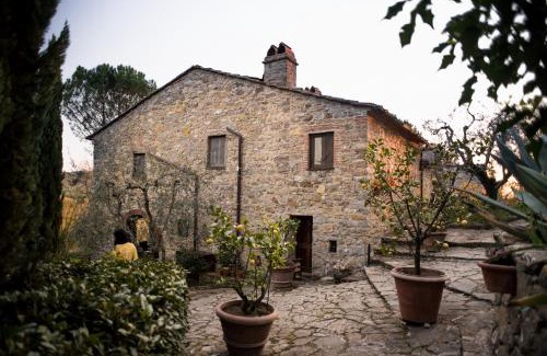 Greve in Chianti Cama Y Desayuno | B&B Fagiolari