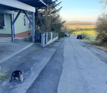 Tulbing Apartamento | B&B Family Basement Apartment, Breakfast, Free Parking, 5km from Tulln