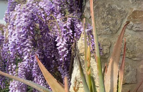 Casalguidi Cama Y Desayuno | B&B Fior Di Toscana