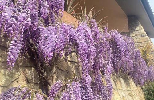 Casalguidi Cama Y Desayuno | B&B Fior Di Toscana