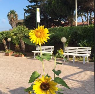 Caucana-finaiti-casuzze-finaiti Nord Cama Y Desayuno | B&B Fiori Gialli Caucana