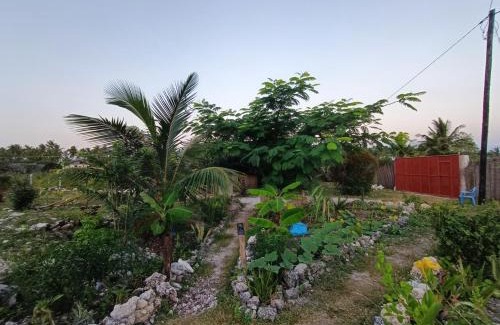Pingwe Casa | B&B G&H house Zanzibar