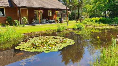 Veendam Cama Y Desayuno | B&B Houtstee
