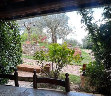Teverina di Cortona Cama Y Desayuno | B&B Il Casale Del Ginepro