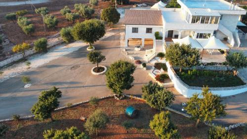 Castellana Grotte Cama Y Desayuno | B&B Il Leccio