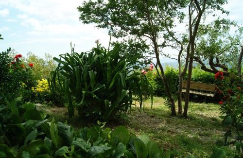 Muro Lucano Cama Y Desayuno | B&B IL QUERCETO