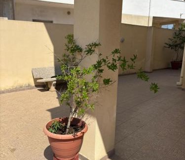 Gallipoli Casa | B&B IN VILLA