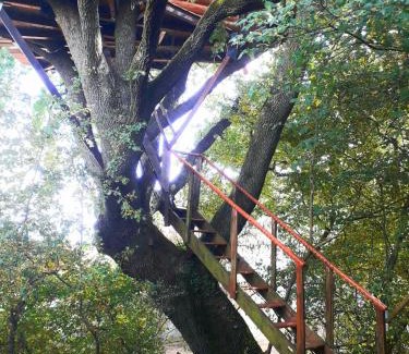 Mones Cama Y Desayuno | B&B La Cabane Insolite