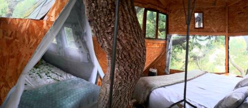 Mones Cama Y Desayuno | B&B La Cabane Insolite