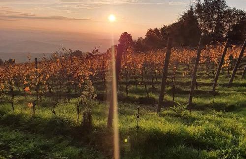 Capraia e Limite Cama Y Desayuno | B&B La Casa Di Zefiro