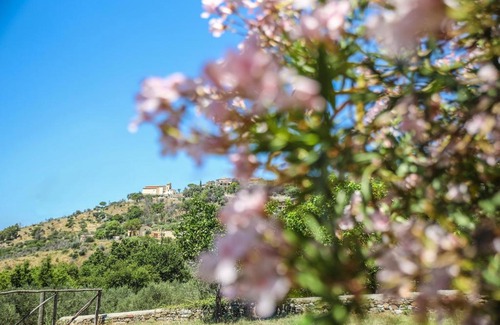 Torchiara Cama Y Desayuno | B&B La Residenza Torchiara