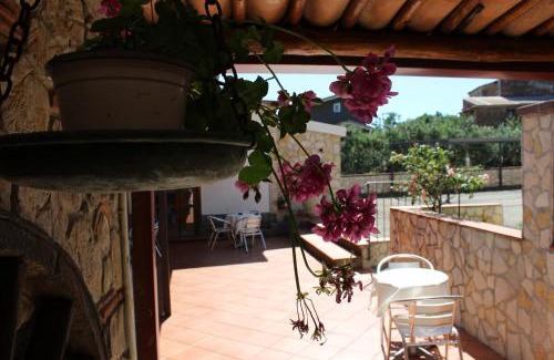 Lamezia Terme Cama Y Desayuno | B&B La Vigna