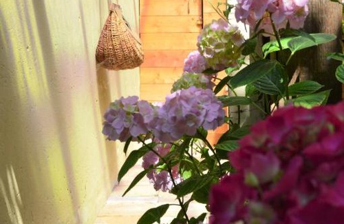 Savio Cama Y Desayuno | B&B Lady Cocca