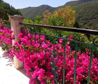 Finale Ligure Cama Y Desayuno | B&B M&M