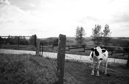 Kerkhove Cama Y Desayuno | B&B Maison Kerkhove