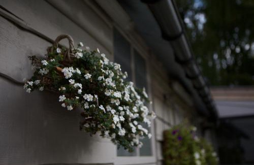 Kerkhove Cama Y Desayuno | B&B Maison Kerkhove