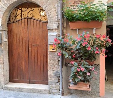 Teramo Apartamento | B&B Monolocale Piazza Dante