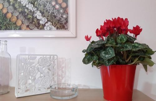 Morcone Cama Y Desayuno | B&B Murgantia
