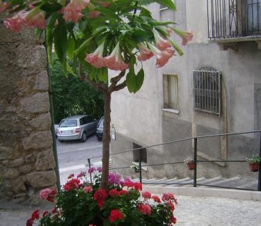 Introdacqua Cama Y Desayuno | B&B Myosotis
