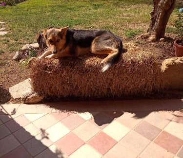 Piazzo Casa | B&B Naturin - Eco Farm